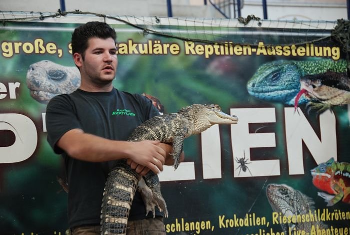 Welt der Reptilien in der Wiedingsburghalle