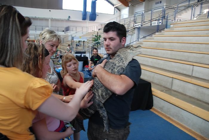 Welt der Reptilien in der Wiedingsburghalle