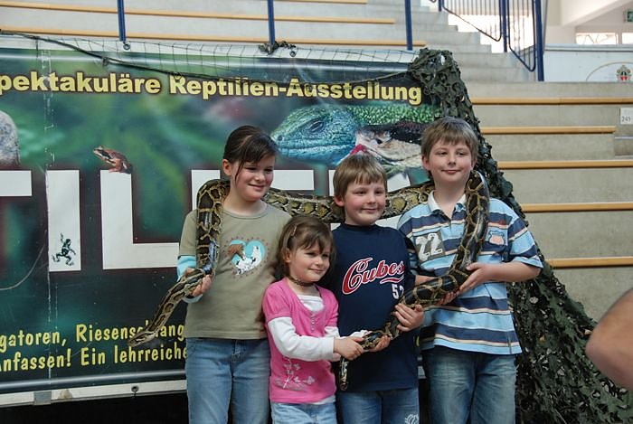 Welt der Reptilien in der Wiedingsburghalle