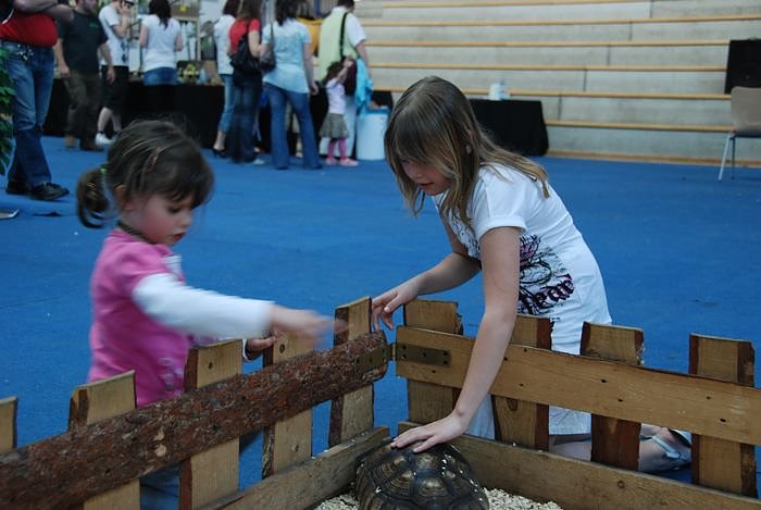 Welt der Reptilien in der Wiedingsburghalle