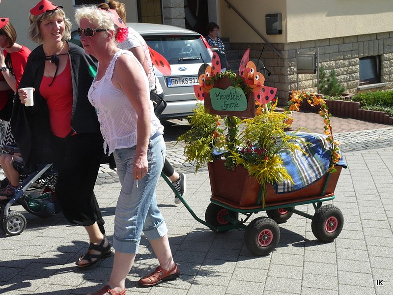 Festumzug Gernrode 2015