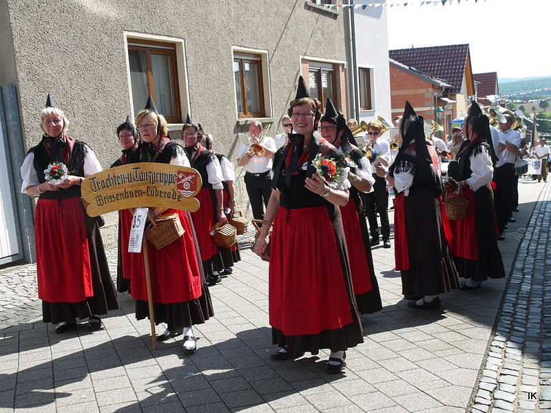 Festumzug Gernrode 2015