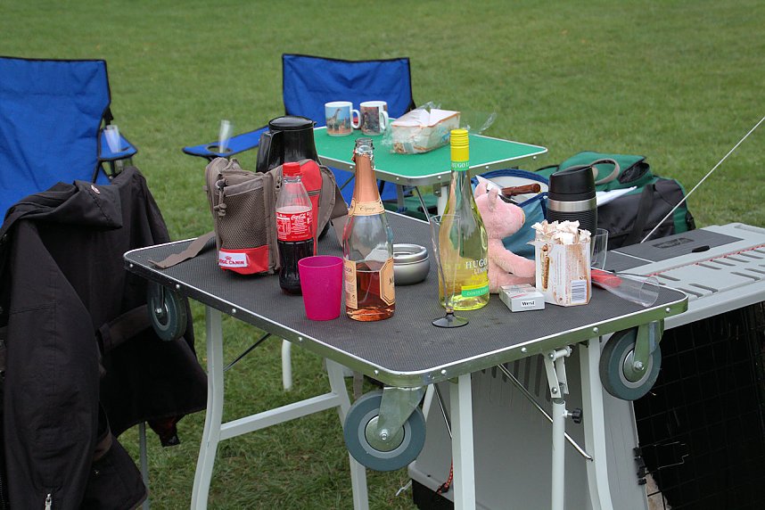 Hunde auf dem Possen