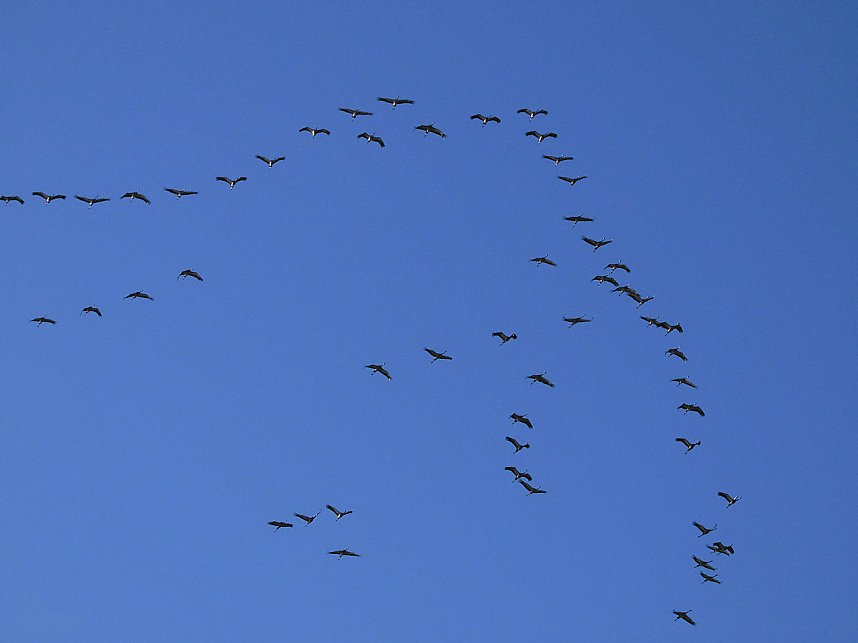 Die Flugschau ist er&ouml;ffnet
