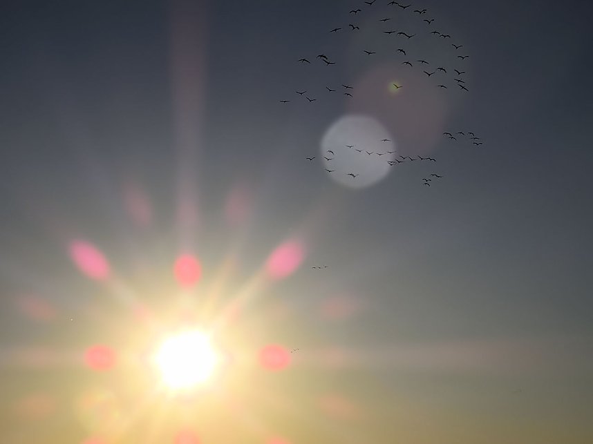 Die Flugschau ist er&ouml;ffnet