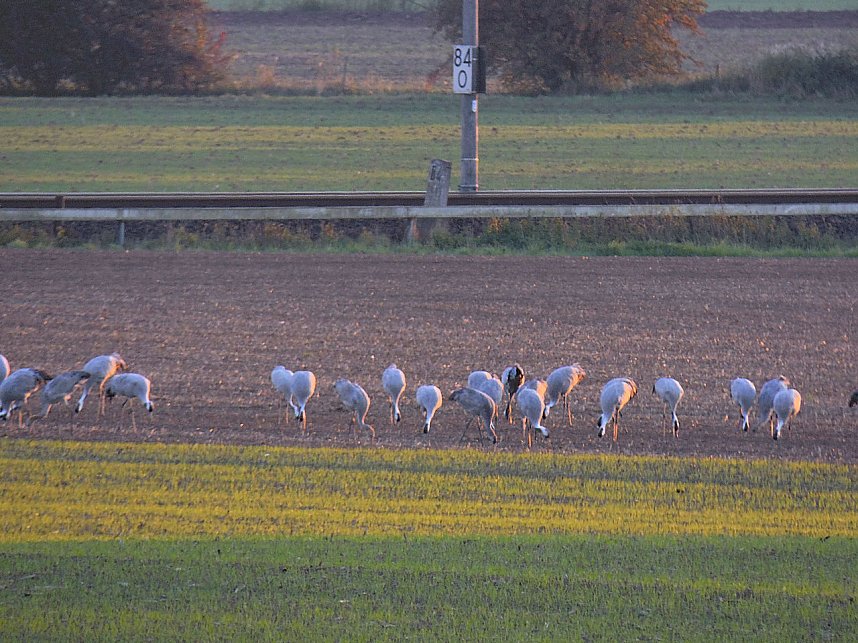 Die Flugschau ist er&ouml;ffnet