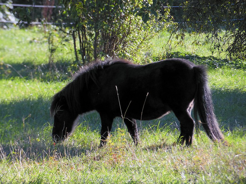 Die Flugschau ist er&ouml;ffnet