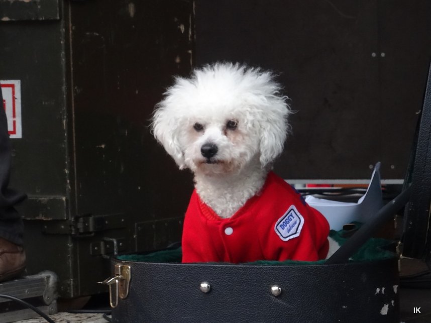Worbiser Weihnachtsmarkt