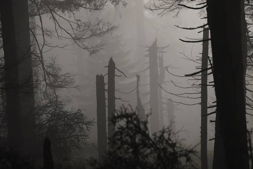 Brocken am 30. Dezember 2015