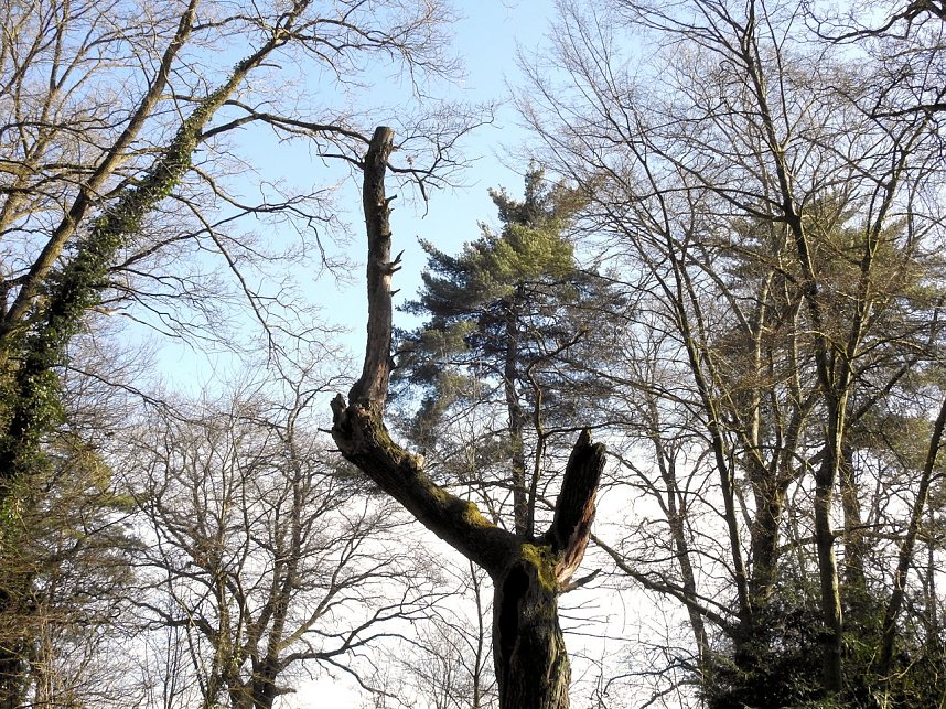 Peter Blei zu Besuch auf Schloss Oranienbaum