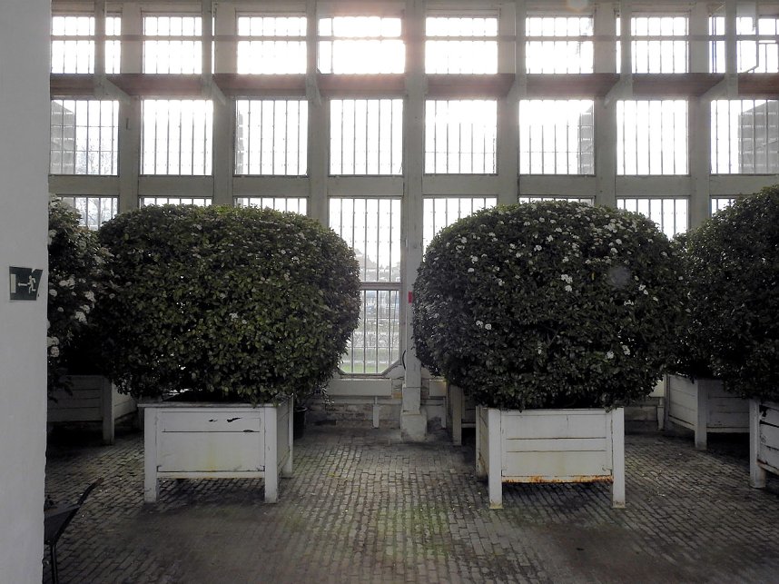 Peter Blei zu Besuch auf Schloss Oranienbaum