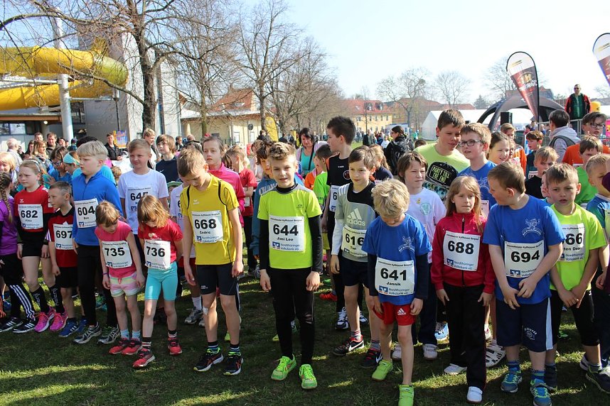 Impressionen vom 38. Kyffh&auml;user Berglauf