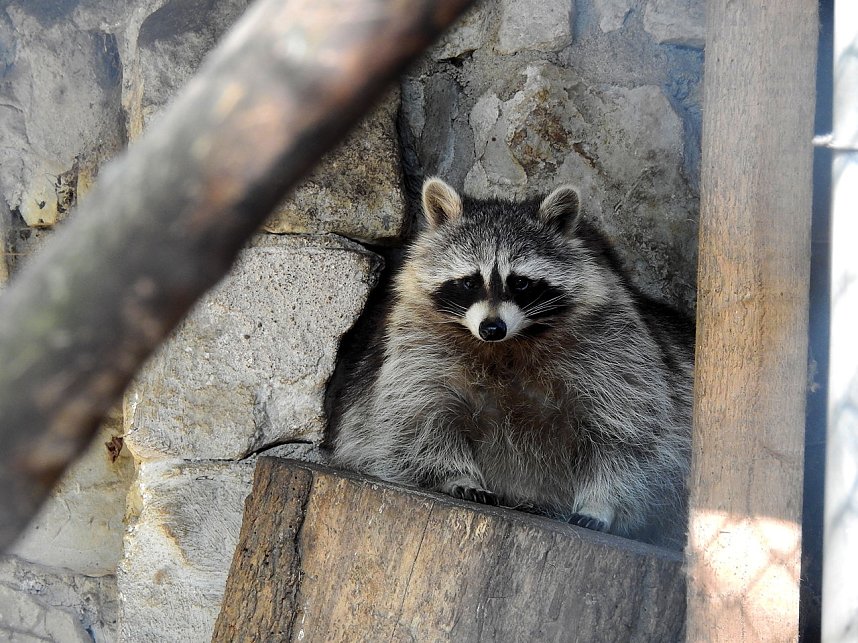 Peter Blei unterwegs in K&ouml;then