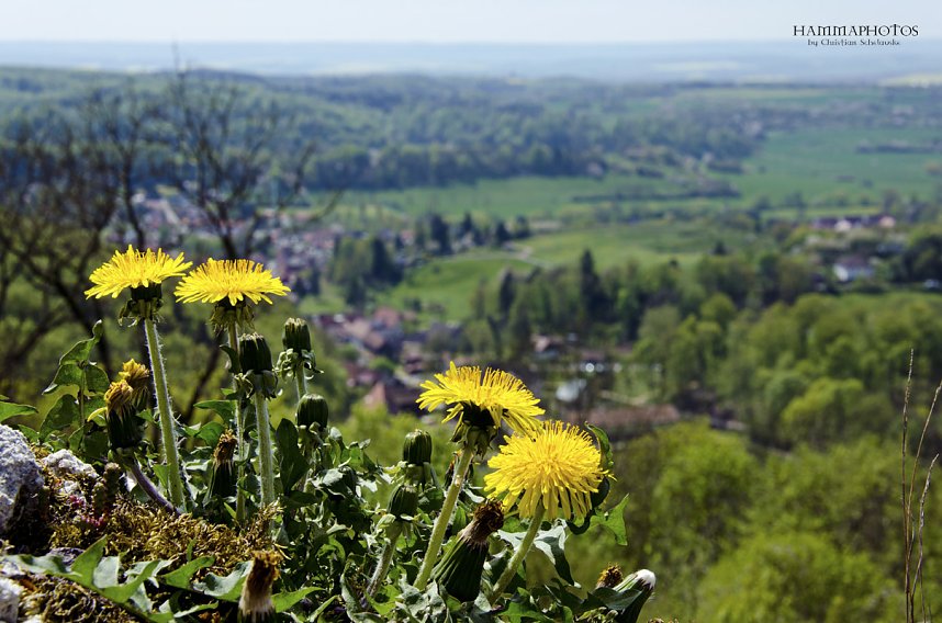 Unterwegs im Naturpark S&uuml;dharz
