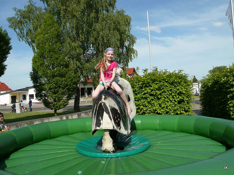 Fest der L&auml;mmerschw&auml;nze