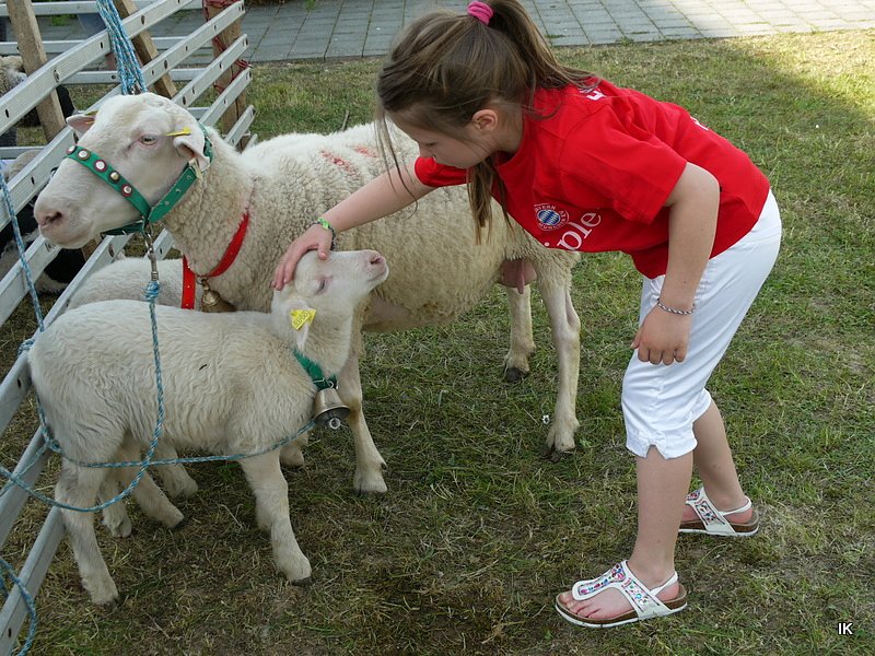 Fest der L&auml;mmerschw&auml;nze