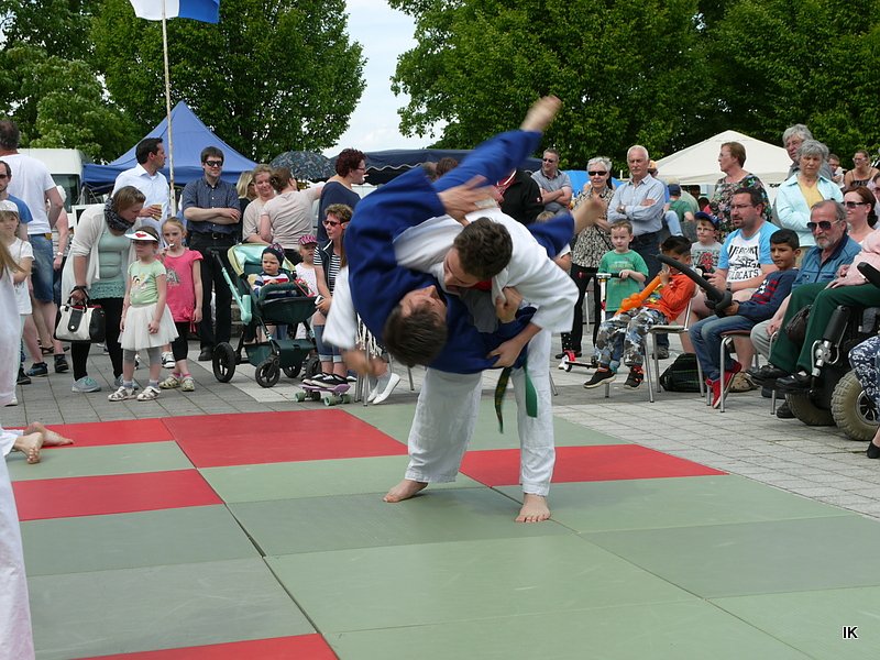 Fest der L&auml;mmerschw&auml;nze