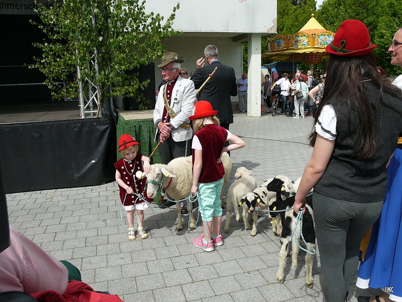 fest der L&auml;mmerschw&auml;nze