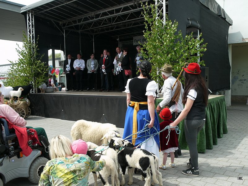 fest der L&auml;mmerschw&auml;nze