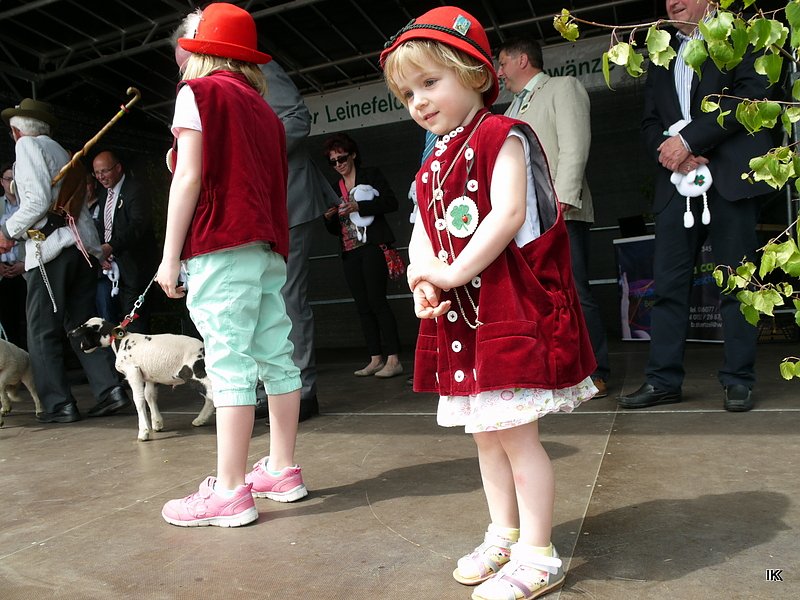 fest der L&auml;mmerschw&auml;nze