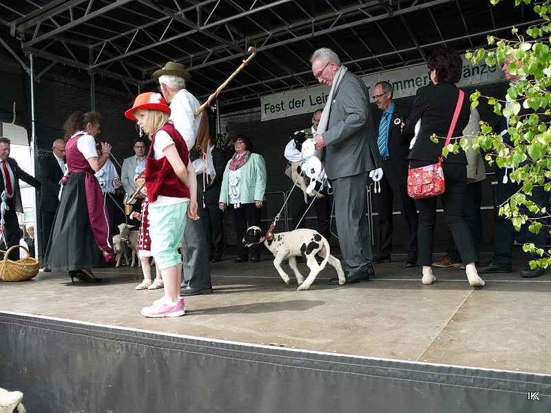 fest der L&auml;mmerschw&auml;nze