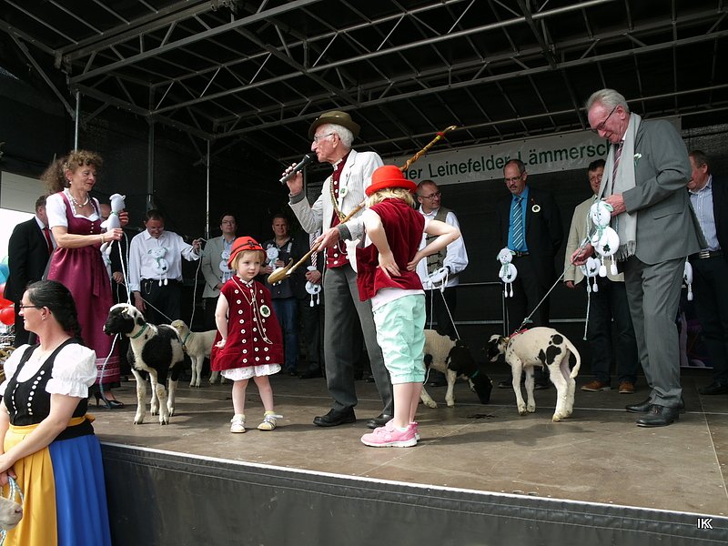 fest der L&auml;mmerschw&auml;nze