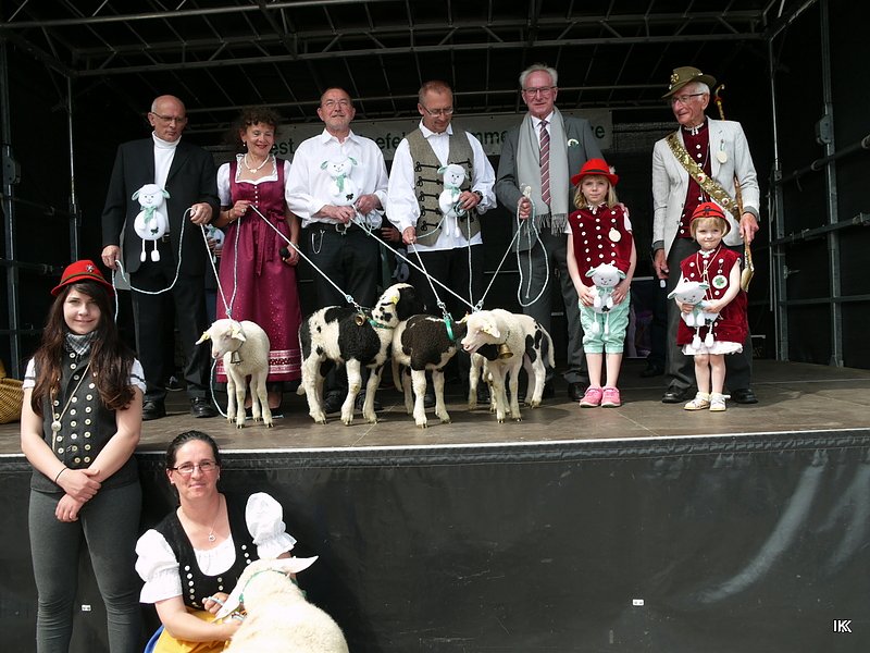 fest der L&auml;mmerschw&auml;nze