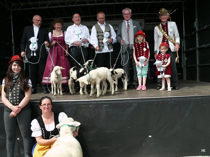 fest der L&auml;mmerschw&auml;nze