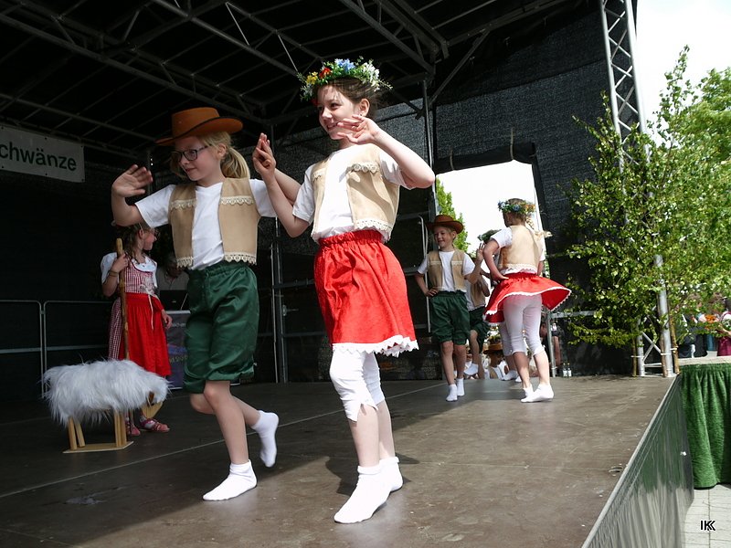fest der L&auml;mmerschw&auml;nze
