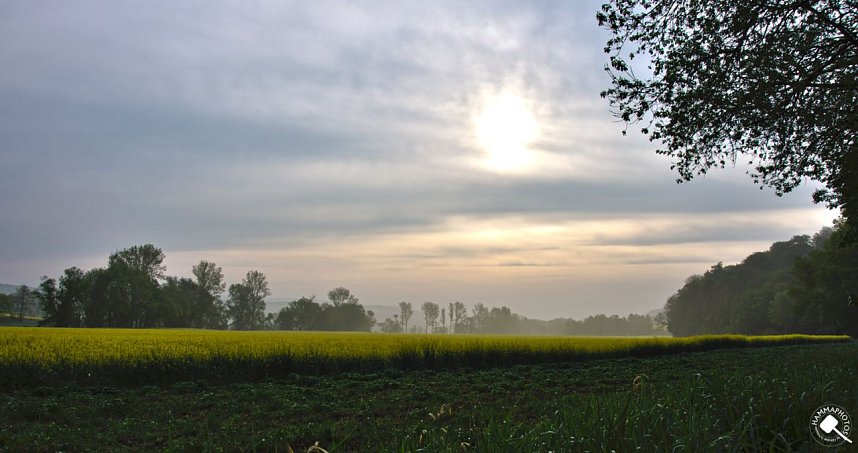 Wanderung im Morgengrauen