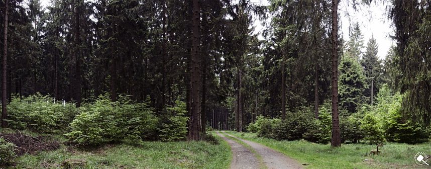 Wandergr&uuml;&szlig;e aus Rothes&uuml;tte