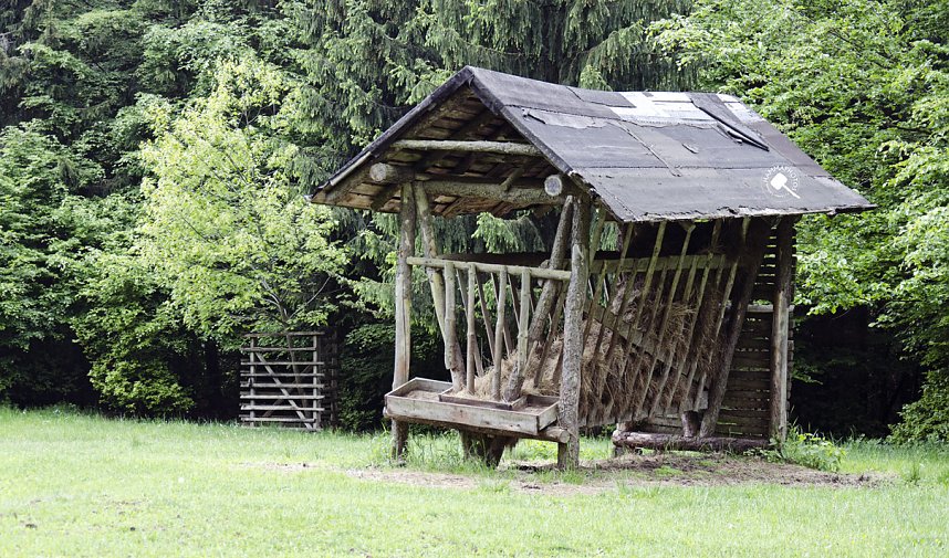 Wandergr&uuml;&szlig;e aus Rothes&uuml;tte