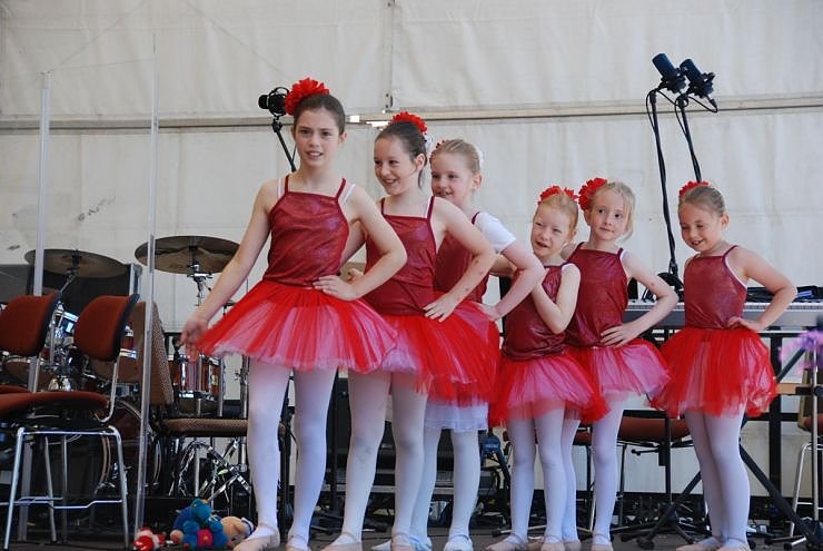 Rolandsfest 2009