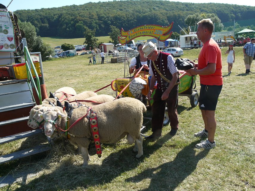 Eichsfelder Bauernmarkt