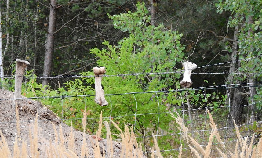 Unwirkliche Orte: Munitionsfabrik Kapen