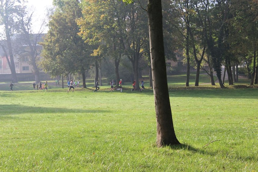 Die langen Strecken beim Stadtparklauf