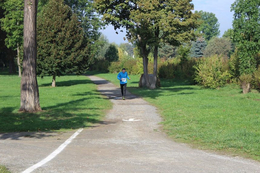 Die langen Strecken beim Stadtparklauf