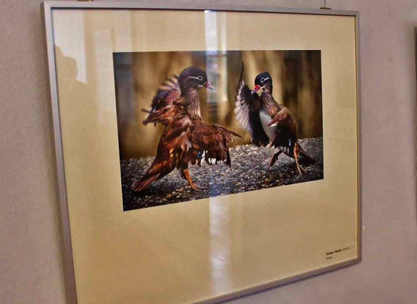 Landesfotoschau in Nordth&uuml;ringen