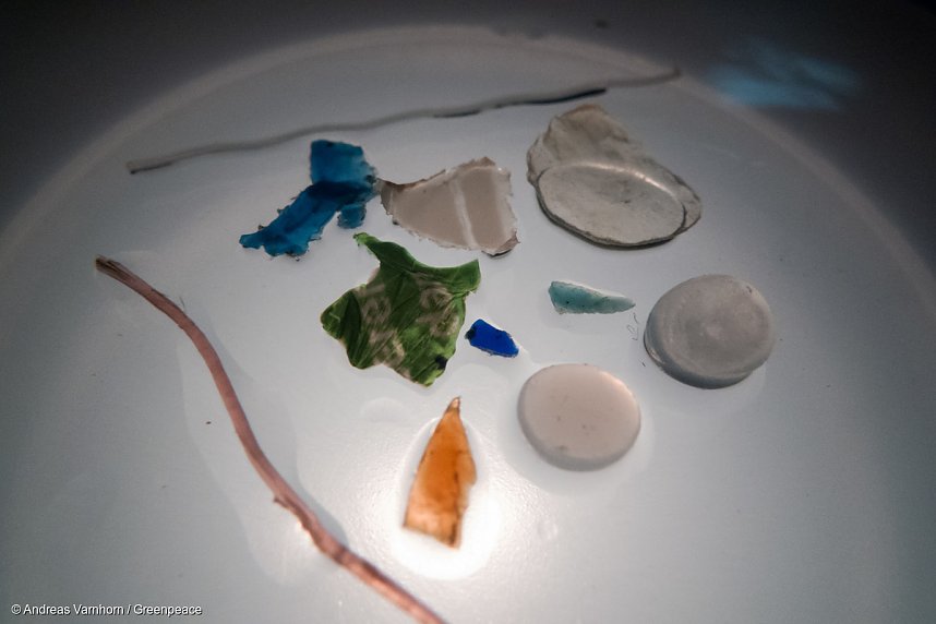 Proben zeigen Belastung der Fl&uuml;sse