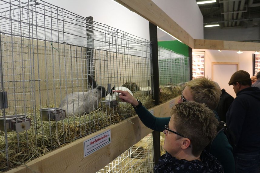 Gr&uuml;ne Woche 2017 in Berlin