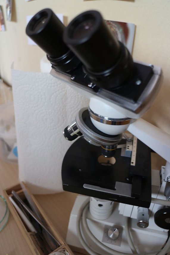 Jugend forscht 2017 an der Hochschule Nordhausen