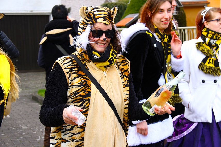 Stra&szlig;enumzug in Breitenworbis