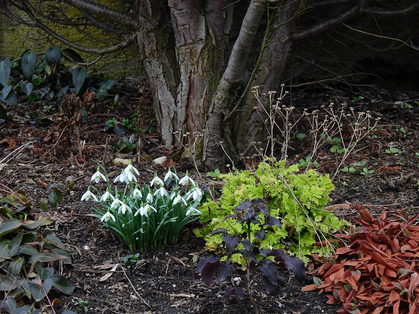 Spuren des Fr&uuml;hlings