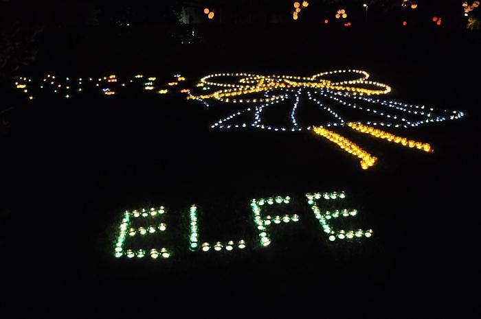 Lichterfest 2009