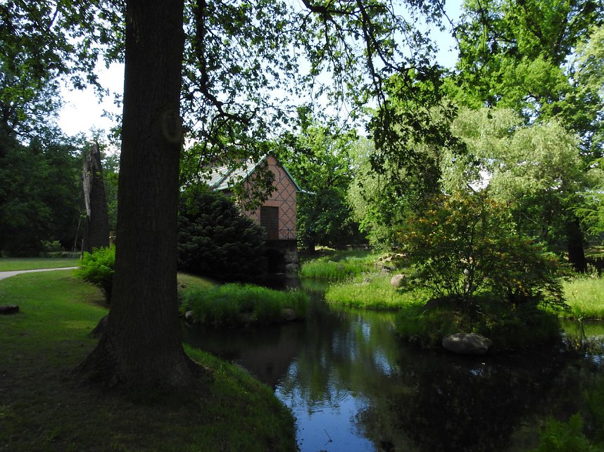 Lustwandeln im Park von Oranienbaum