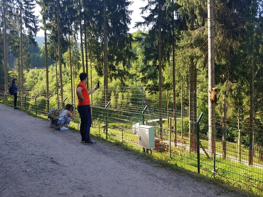 Junge Helfer zu Besuch