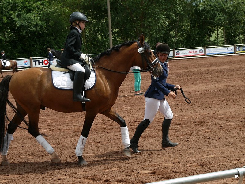 Breitensporttag am Reiterhof in Uder
