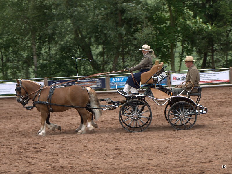 Breitensporttag am Reiterhof in Uder