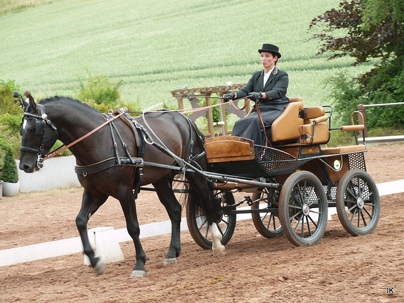 Breitensporttag am Reiterhof in Uder