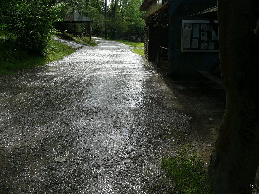 Quellen sprudeln &uuml;ber im B&auml;renpark